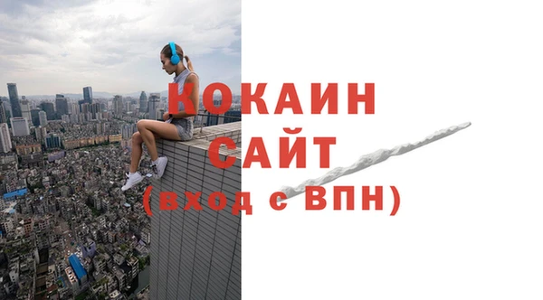 молекула духа Абинск