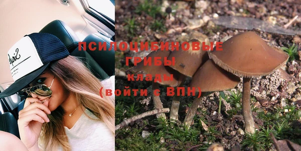 спиды Новозыбков