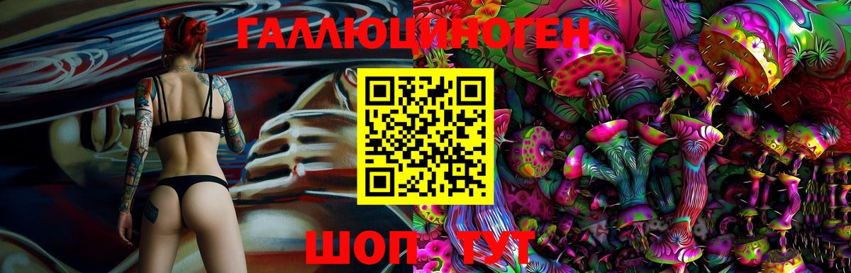 Псилоцибиновые грибы Psilocybine cubensis Псков
